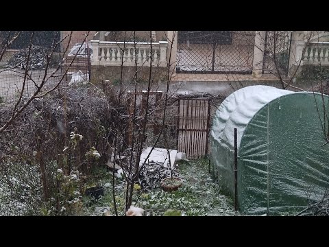 prima neve a