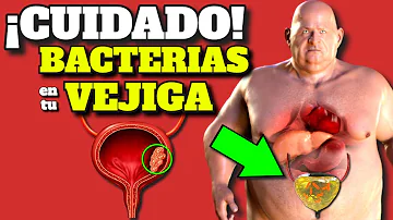 ¿Cómo puedo saber si tengo una infección bacteriana en la vejiga?