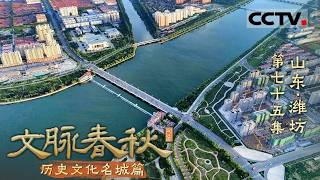 《文脉春秋》75 山东·潍坊：一座迎风而起的城 一根线 让世界仰望潍坊的天空【CCTV纪录】