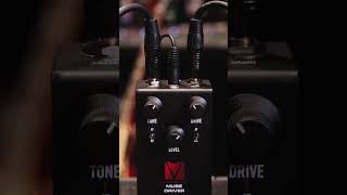 NEW Keeley Muse Driver Pedal