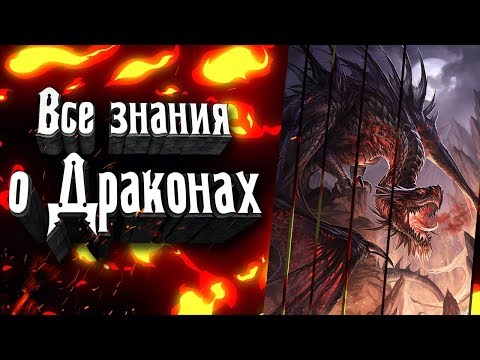 Драконы - кто они? История их появления? Виды драконов и многое другое о них