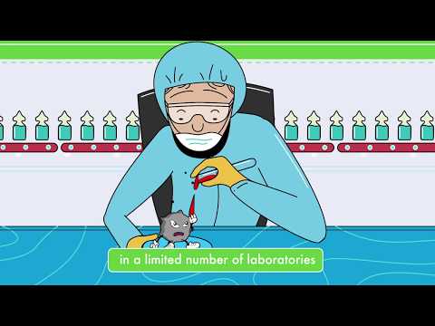 Video: Implementierung Von Poliovirus Containment In Den USA