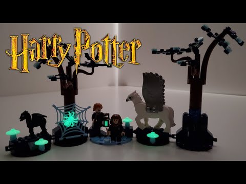 YouTube thumbnail: LEGO Harry Potter Review: Forbidden Forest: Magical Creatures (2024 Set 76432) Worst Set?