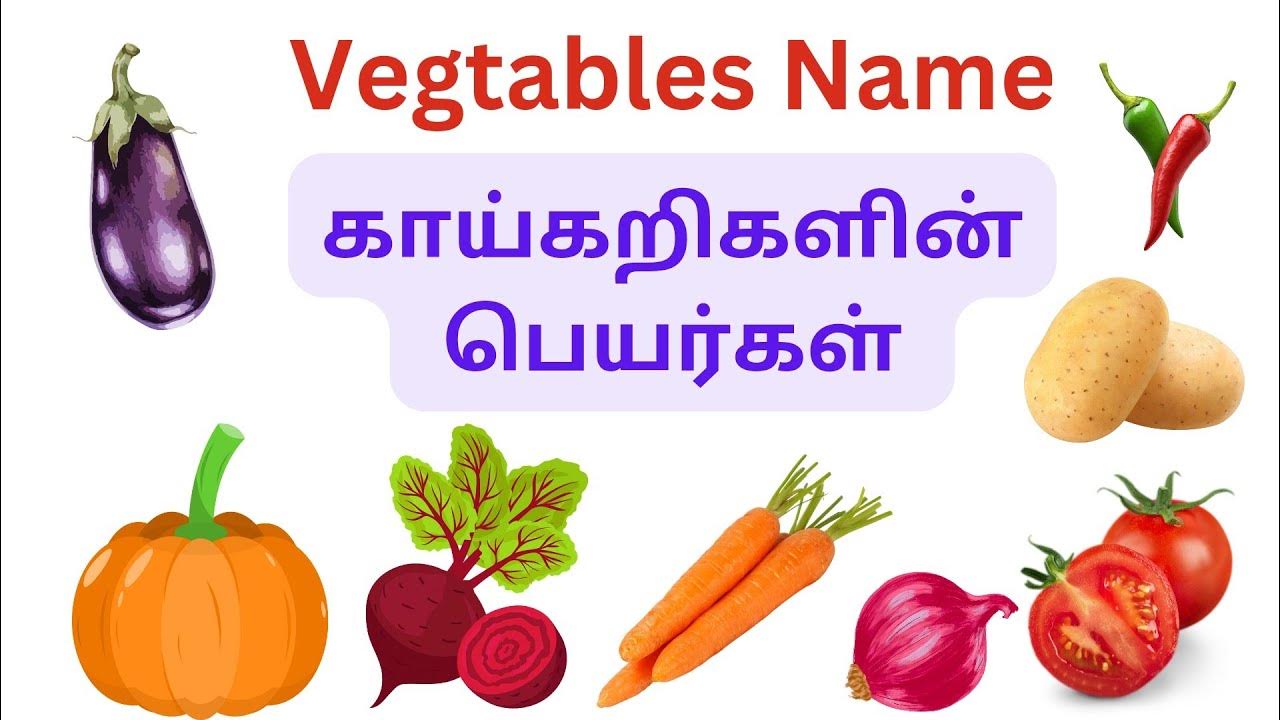 Vegetables Names For Kids || Learn to Vegetables Names in Tamil