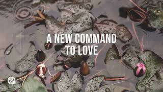 A New Command to Love | Audio Reading | Our Daily Bread Devotional | March 28, 2024