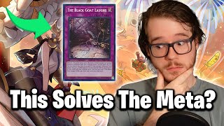 Why Black Goat Laughs is Broken / Rarity Collection 2 & Roasting Branded Despia Deck Lists & More!