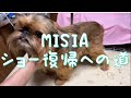 MISIAショー復帰への道🤣【ネックラインサイドから肩】