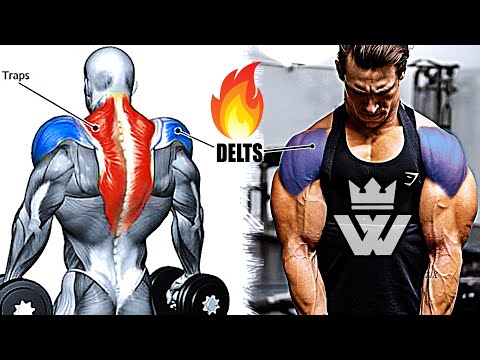 Video: Deltoid Mashqlari