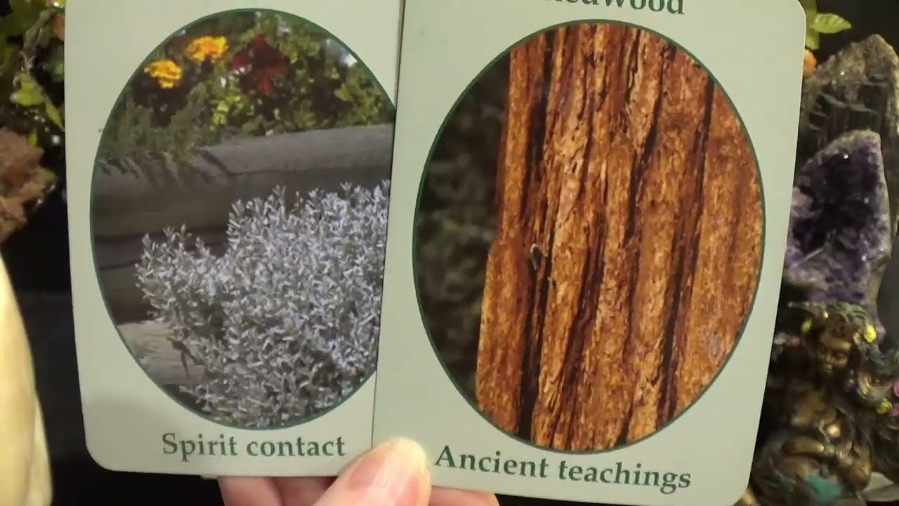 ♌️Leo | ☆ Your Passed Loved Ones & Ancestors Want You To Know This ☆ | Urgent Spirit Guide Messages