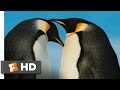 Thumb of March of the Penguins video