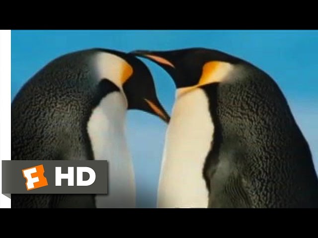 March of the Penguins Official Trailer #1 - (2005) HD class=