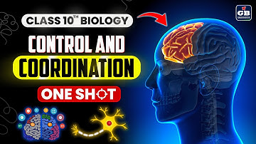 Control and Coordination | Class 10 Biology | Animated Explanation@Gradebooster
