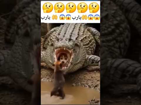 يارب أستر بسترك الله راحو فيها صلوا على النبي الله اكبر