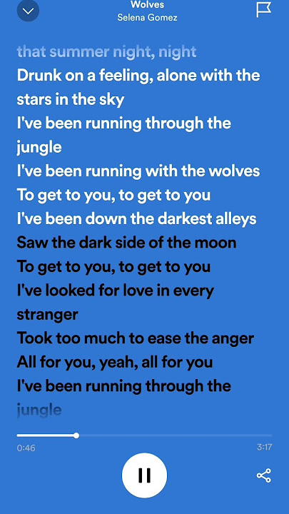 Wolves - Selena Gomez & Marshmello (Lyrics)