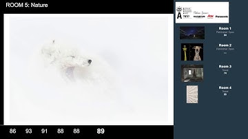 APPA 2019 Nature Category Photography Print Judging