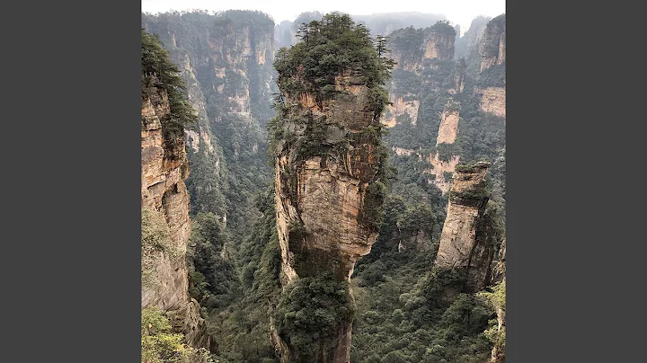 Boydston cF39382 Beaconsfield Bolivia