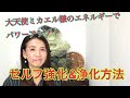 簡単に出来るセルフ強化&浄化方法は？  大天使ミカエル様のサポートで更にパワーアップ⤴️✨