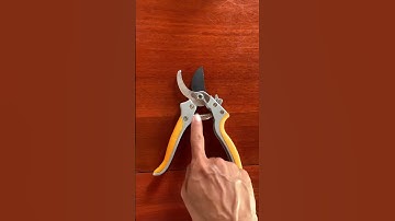 Kéo cắt nhánh cây kéo cắt kiểng INGCO bền rẻ #KeoCatCanh #KeoTiaCanh #DungCuLamVuon