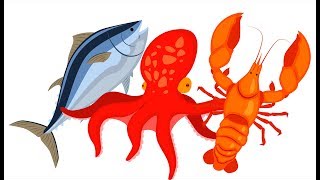 LEARN COLOR SEA ANIMALS TUNA FISH