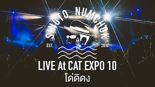 SINGTO NUMCHOK - โด่ดิดง 「 CAT EXPO 10 | Live Concert 」