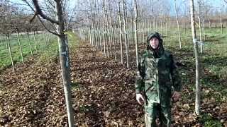 USGI Goretex Woodland Camo jacket and 