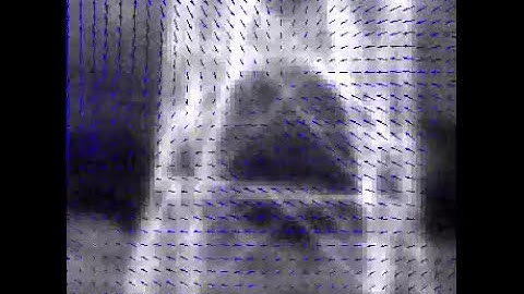 Optical flow estimated from optical turbulence