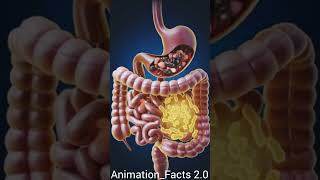Digestive Disease