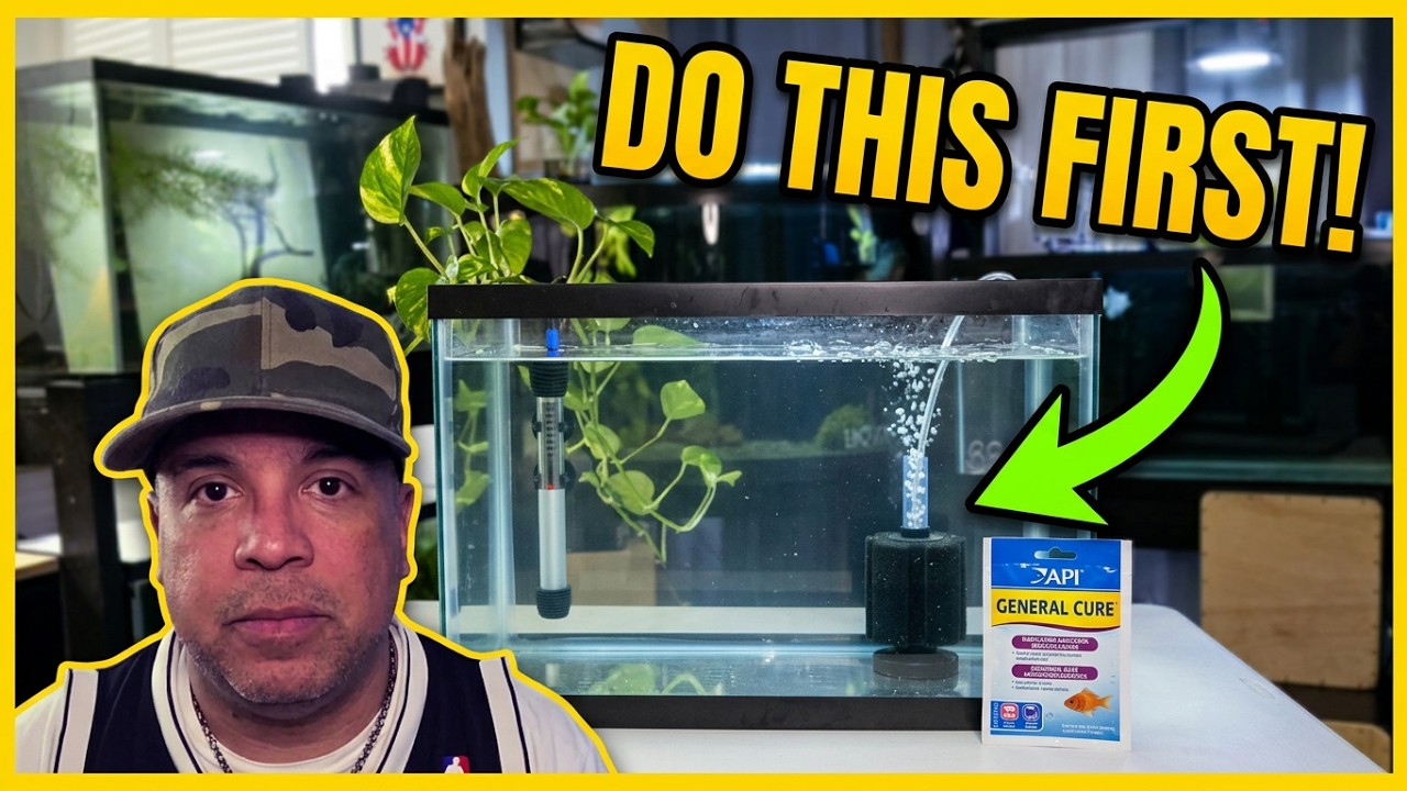 Don't Add New Fish Without Watching This First