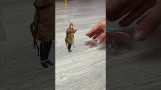 Kim Lapa Yiyecek: Eğlenceli Yarışma! 👧vs🪳