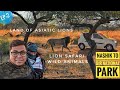 Hyderabad  ahmedabad  gir national park in alto 800  asiatic lion safari devaliya park sasangir