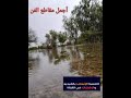 أيمن المساهلي - البيرة