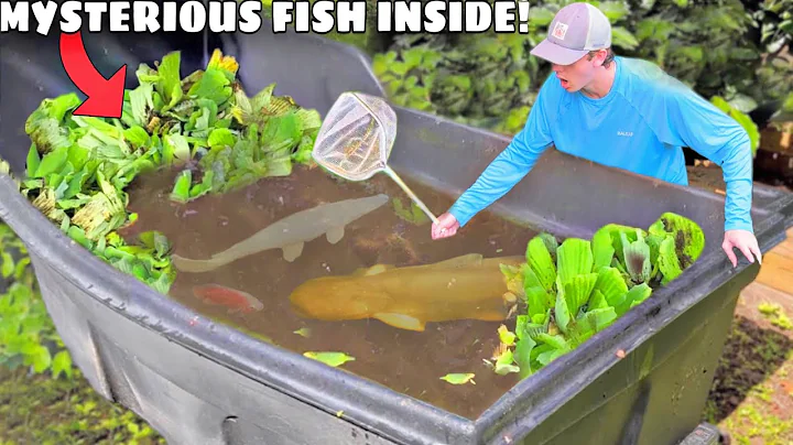 I Found The SWAMP MONSTER Living in ABANDONED POND!