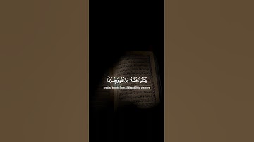 اكتب شيء تؤجر عليه 😴💚 / القارئ ياسر الدوسري | قران كريم