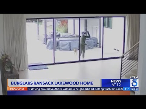 Homeowner witnesses thieves ransack Southern California home on security camera