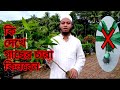 কি দেখে গাছের চারা কিনবেন / Which charecteristics should be considered for buying tree sapling