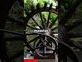 A Visit to a Power Plant: Virtual Field Trip #shorts