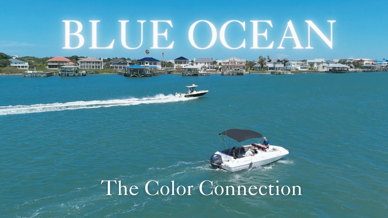 Guarda Blue Ocean | Jeremy Weinglass (original) su YouTube Guarda Blue Ocean | Jeremy Weinglass (original) su YouTube