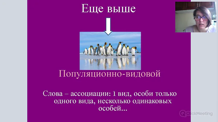 2019 7 10 rec lw nl 5 1293388 47635b8763a927520a4de9cc68f19a37 recording