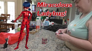 Miraculous Ladybug Miracle Box Kwami Surprise Blind Boxes! 🐞