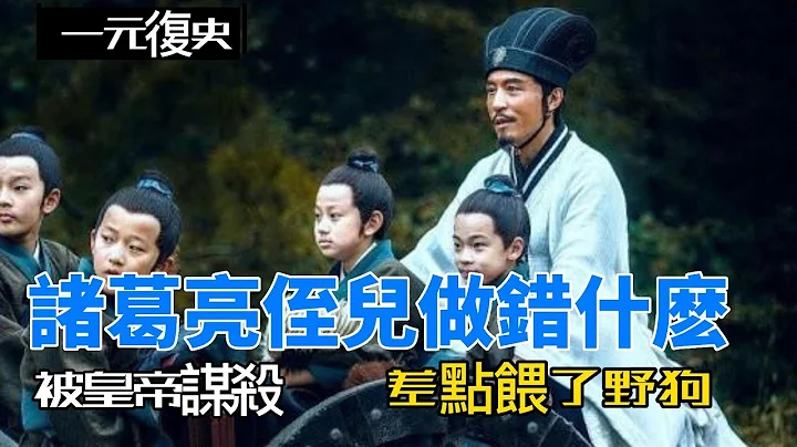 被皇帝谋杀的诸葛亮侄儿，到底做错了什么？#历史 #历史知识  #历史趣闻 #历史 #历史知识  #历史趣闻 #三国 - 天天要闻
