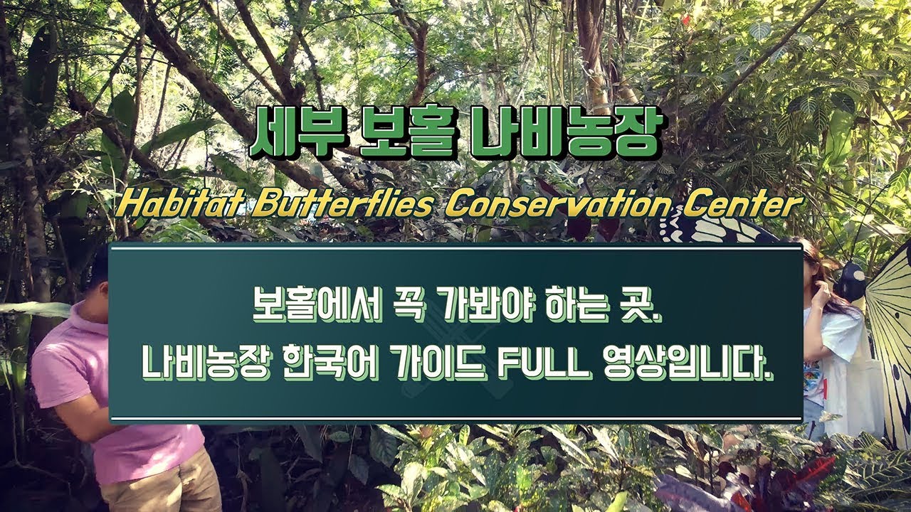 CEBU BOHOL 보홀 나비농장 가이드투어 FULL 영상 BOHOL Habitat Butterflies