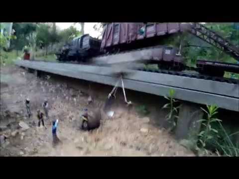 A Garden Railroad Raspberry Run.