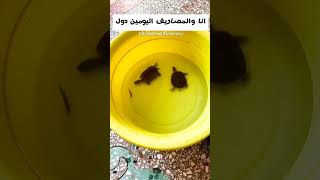 انا والمصاريف اليومين دول