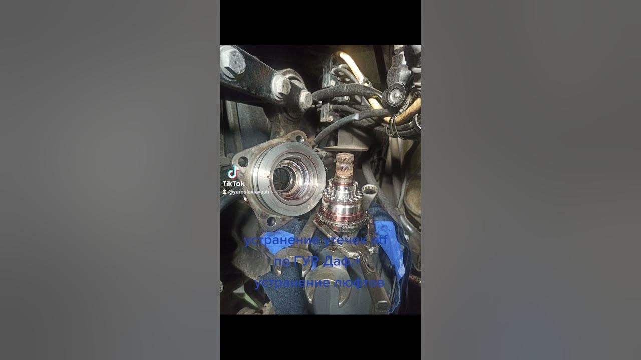 сальник Гур Даф - YouTube