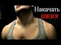 Как Накачать ШЕЮ!