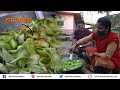 BEST EVER Organic Pahadi Food at Jilling Estate, UTTARAKHAND I मीठा राम करेला + Chawal ka Halwa