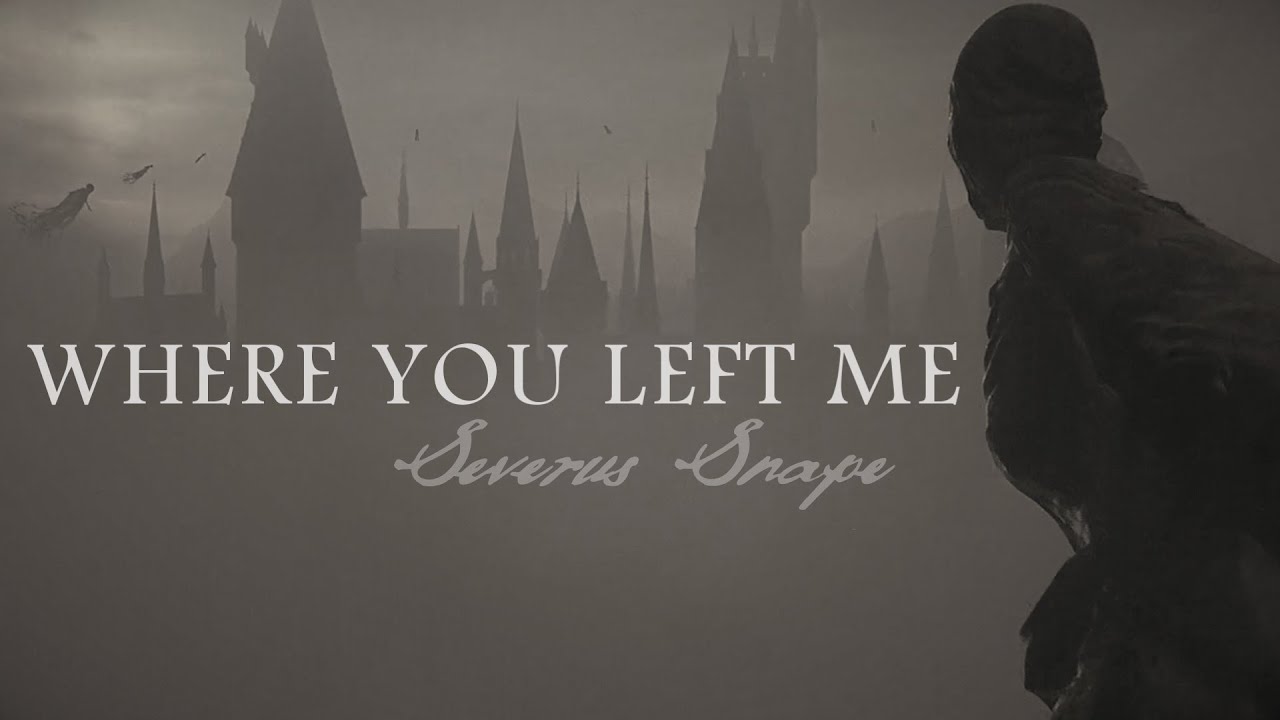 Right where you left me | Severus Snape