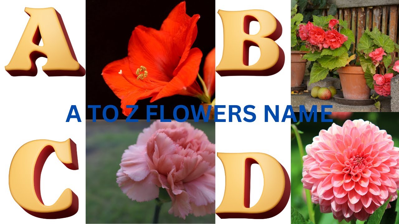 Flowers names for kids A to Z FLOWERS of the World ABCD Kids