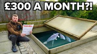 Growing 40LB CARP in My HEATED Koi Pond... What's It Cost?