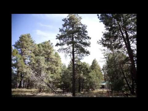1031 N 33RD Circle, Show Low, AZ home video tour